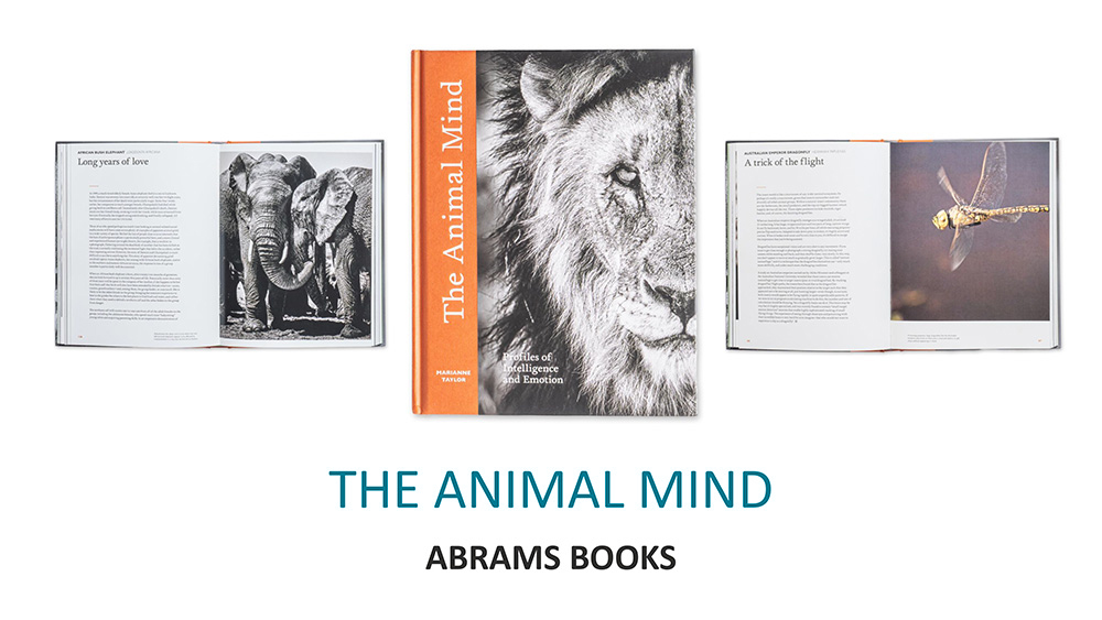 The Animal Mind - Abrams Books